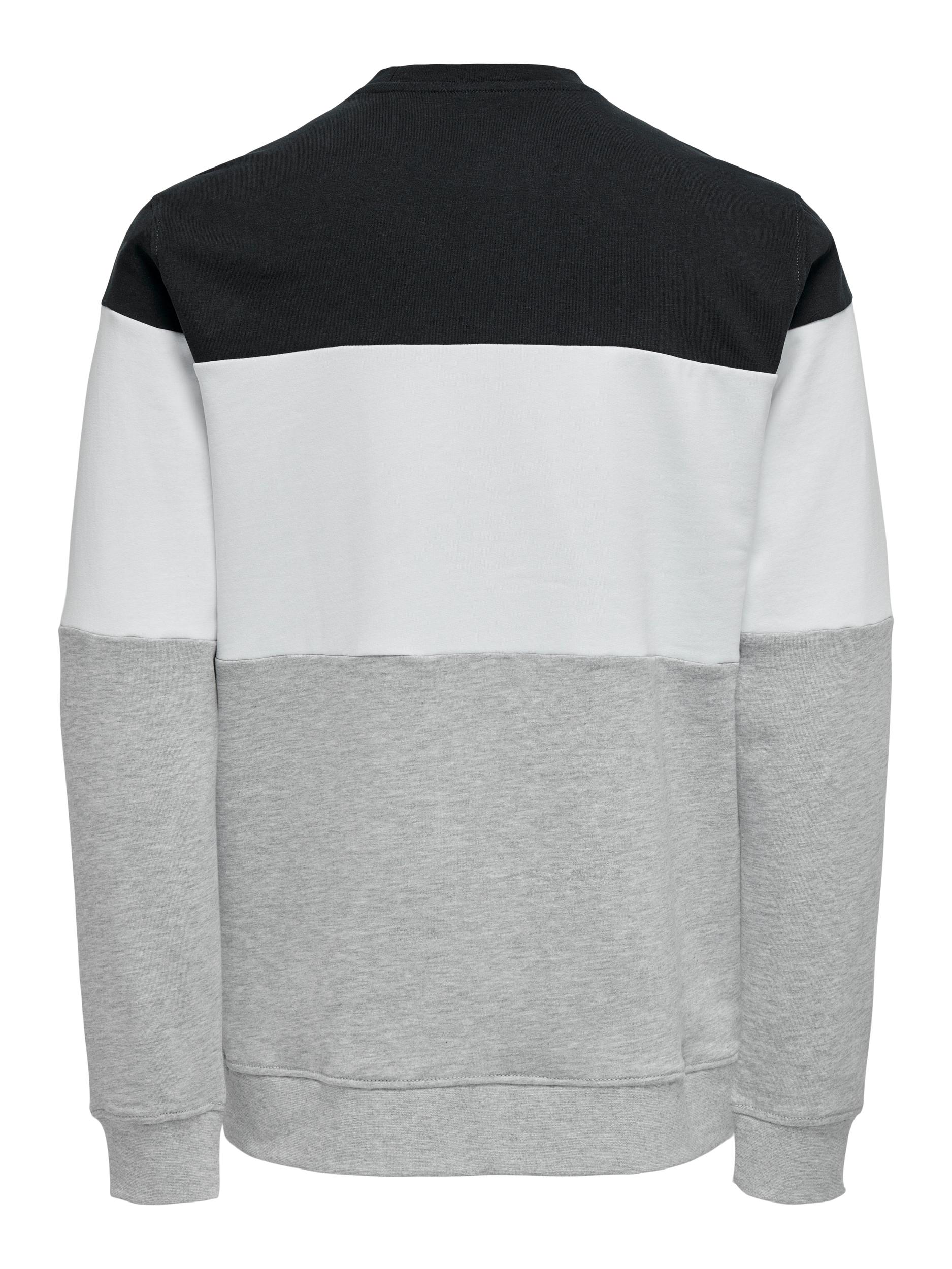 ONSODIS LIFE REG CB CREW NECK SWEAT