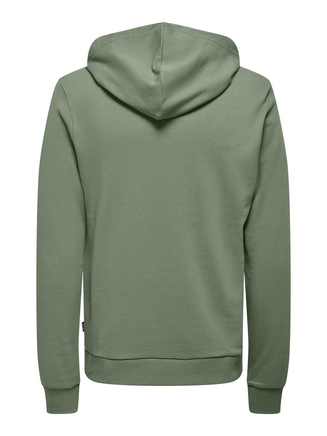 ONSALBERTO REG UNBRUSHED HOODIE SWT CS