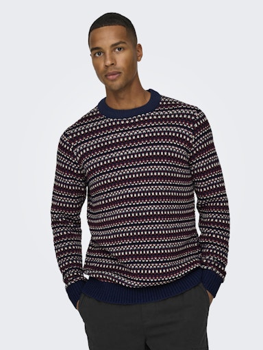 ONSMUSA REG 3 STRUC CREW KNIT